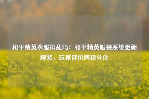 和平精英衣服很乱吗：和平精英服装系统更新频繁，玩家评价两极分化