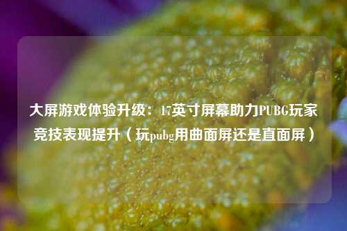 大屏游戏体验升级：17英寸屏幕助力PUBG玩家竞技表现提升（玩pubg用曲面屏还是直面屏）
