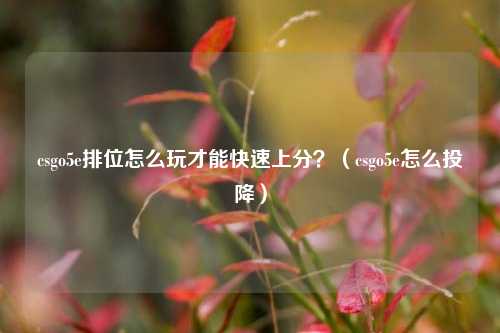 csgo5e排位怎么玩才能快速上分？（csgo5e怎么投降）
