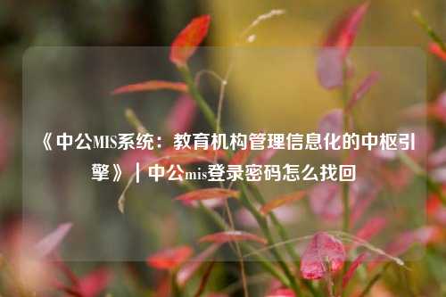 《中公MIS系统：教育机构管理信息化的中枢引擎》｜中公mis登录密码怎么找回
