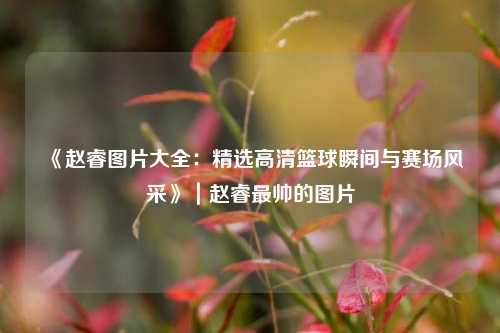 《赵睿图片大全：精选高清篮球瞬间与赛场风采》｜赵睿最帅的图片
