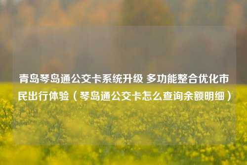 青岛琴岛通公交卡系统升级 多功能整合优化市民出行体验（琴岛通公交卡怎么查询余额明细）
