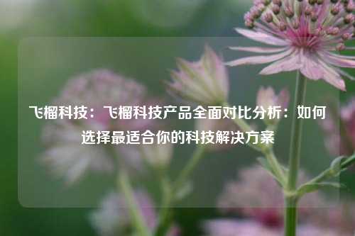 飞榴科技：飞榴科技产品全面对比分析：如何选择最适合你的科技解决方案