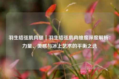 羽生结弦肌肉腿｜羽生结弦肌肉维度深度解析：力量、美感与冰上艺术的平衡之选