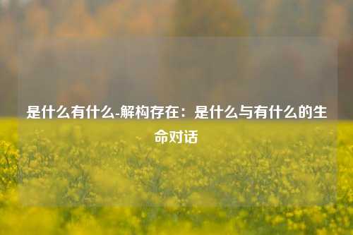是什么有什么-解构存在：是什么与有什么的生命对话