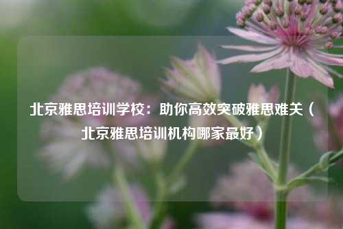北京雅思培训学校：助你高效突破雅思难关（北京雅思培训机构哪家最好）